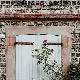 Porte-fenêtre avec volets et rosier - Normandie, France (Étretat) sur Trix Leeflang