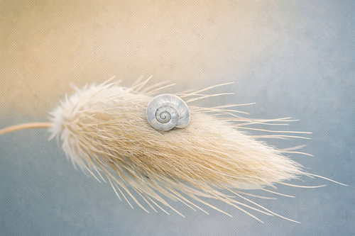 Soft Balance – De kunst van de lichtheid