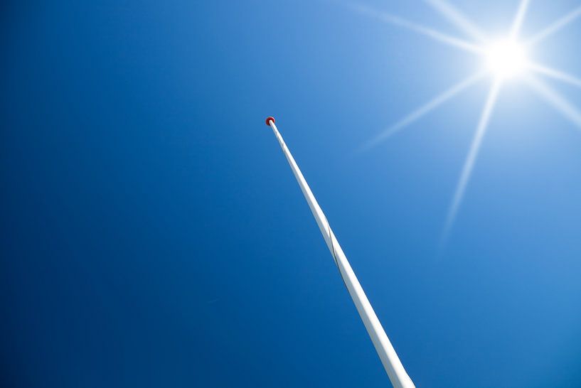 Flagpole by Bo Valentino