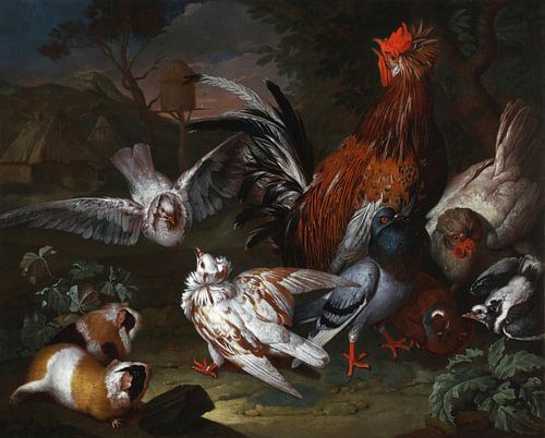 Barnyard Scene met een haan, duiven en cavia's, Philipp Ferdinand de Hamilton.
