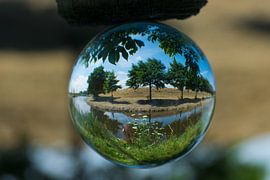 Glass bolfoto nature park Volendam by Annemarie Kroon