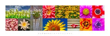 Flowers Impressions van Harry Hadders