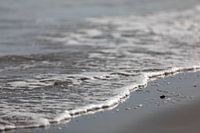 Wave arrives at the beach
