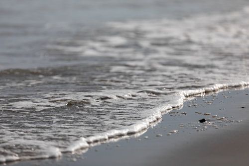 Golf komt aan op het strand
