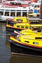 Binnenhafen, Gelbe Boote, Hamburg, Deutschland, Europa von Torsten Krüger Miniaturansicht