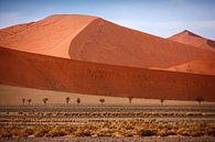 NAMIBIA ... Namib woestijnduinen II van Meleah Fotografie thumbnail