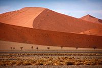 NAMIBIA ... Namib woestijnduinen II