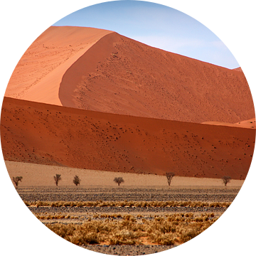 NAMIBIA ... Namib woestijnduinen II van Meleah Fotografie