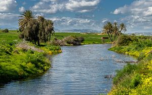 Salzsee von Larnaca, Zypern