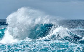 Heftige Wellen, Madeira von Peter Korevaar