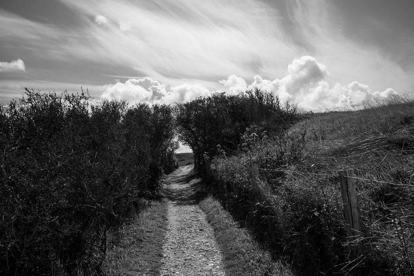 Ein gewundener Pfad von Cathfish photography by Cathie Lefieuw