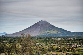 An imposing conical volcano towering over the wooded plain by Frank Photos