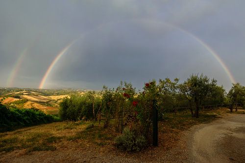 Regenboog en rode rozen - Toscane - Italie