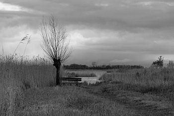 Komm und setz dich in die Wieden