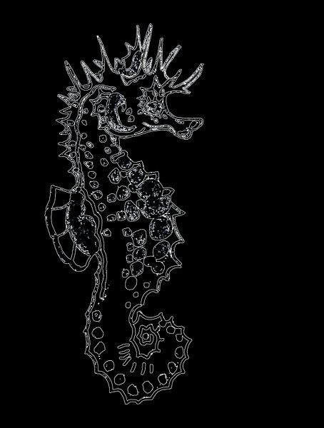 Drawing of a seahorse digitally manipulated by Jose Lok