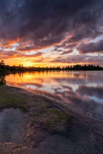 Nationaal Park De Biesbosch