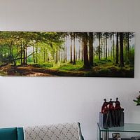 Klantfoto: Idyllisch bos bij zonsopgang van Günter Albers, op canvas