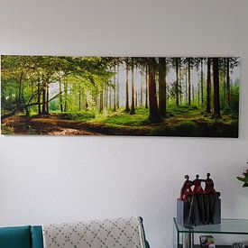Photo de nos clients: Forêt idyllique au lever du soleil par Günter Albers, sur toile