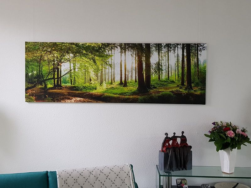 Kundenfoto: Idyllischer Wald bei Sonnenaufgang von Günter Albers