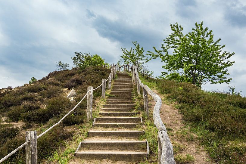 Landscape with trees and rocks in the Harz area, Germany by Rico Ködder
