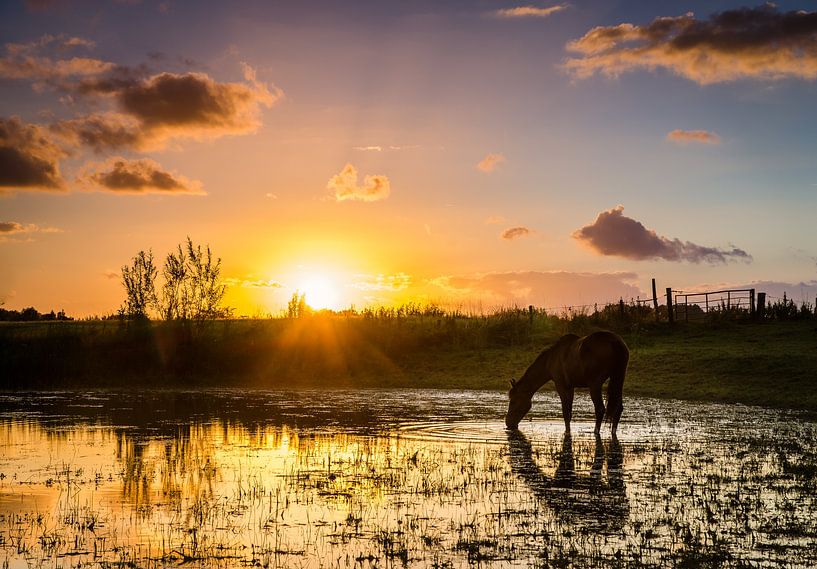Durstiger Sommerabend von LiemersLandschap