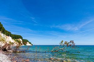 Kreidefelsen an der Ostseeküste auf der Insel Rügen