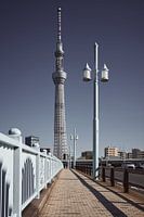 TOKYO - Sky Tree Tower
