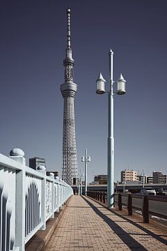 TOKYO - Sky Tree Toren van MijuKasi