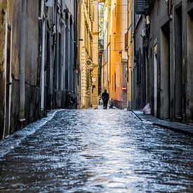 Florence Street by Anahi Clemens