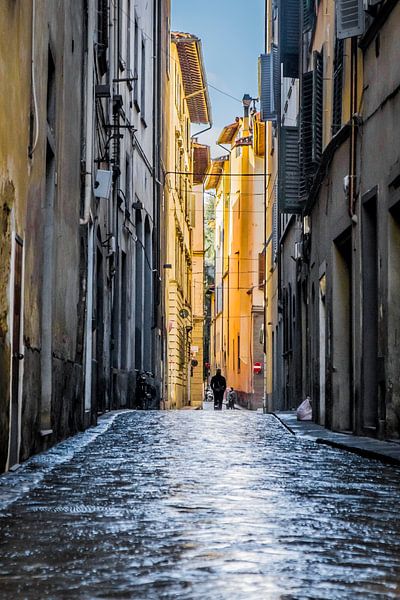 Florence Street by Anahi Clemens