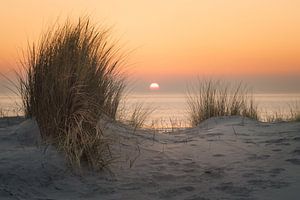 Coucher de soleil avec l'herbe des dunes en Zélande