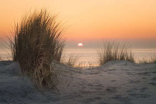 Coucher de soleil avec l'herbe des dunes en Zélande sur Michel Seelen