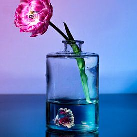 Königlich lila von Flower artist Sander van Laar
