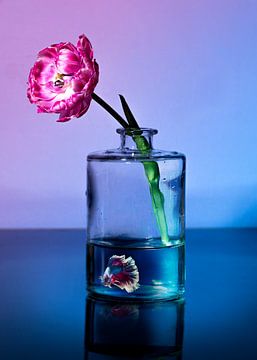 Royal Purple by Fine Art Flower - Artist Sander van Laar