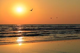 Morgenstimmung auf Usedom von Thomas Jäger