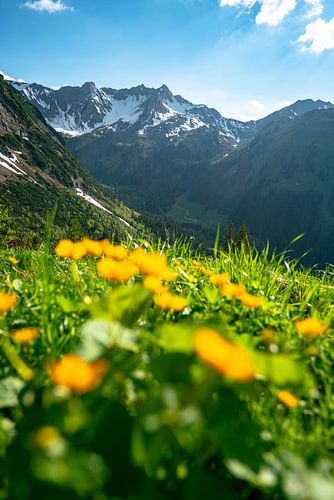 Bloemrijk uitzicht in Kleinwalsertal
