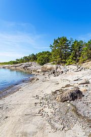 Felsen und Bäume an der Küste der Insel Rossö nahe Strömstad