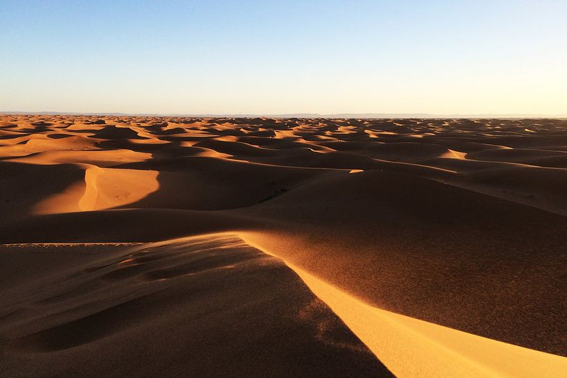 Horizon Dunes by Walljar