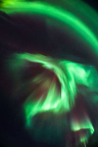 Dancing Northern Lights by Leo Schindzielorz