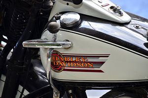 Harley Davidson WLA 750 - Pic04 sur Ingo Laue