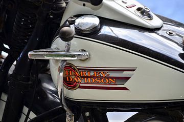 Harley Davidson WLA 750 - Pic04