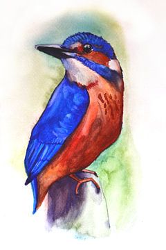 Aquarel van een ijsvogel van Greta Lipman