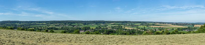 Uitzicht op Vaals met haar buurtschapen van John Kreukniet