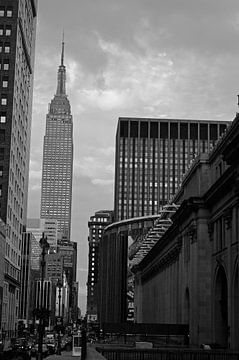 Street of New York van Alexander van der Linden