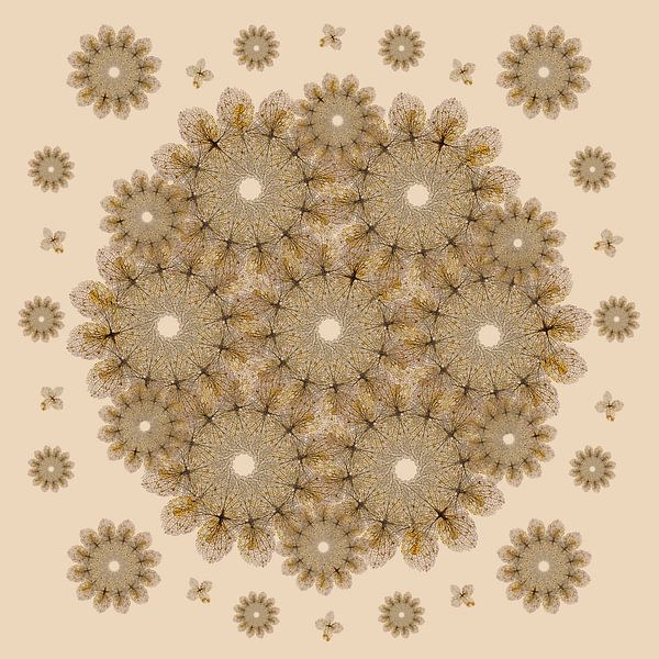 Hortensia cirkels van Klaartje Majoor