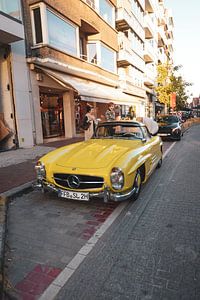 Mercedes 300sl van Lukas Vandormael