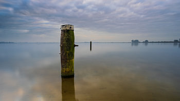 Reeuwijkse Hout - Comme un pion