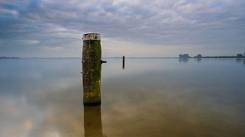 Reeuwijkse Hout - Als een paal boven water