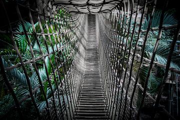 Pont de cordes dans un jardin tropical sur Suzanne Schoepe