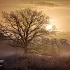 Un lever de soleil d'hiver sur la lande avec du brouillard sur Wesley Flaman